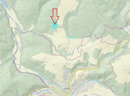 Prodej pozemku, les, 11 901 m²