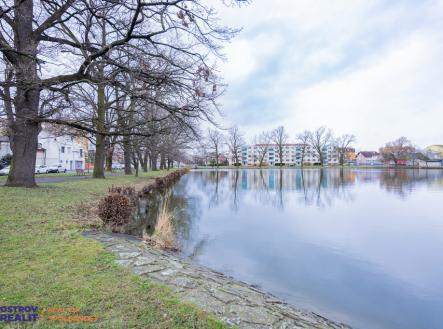 0x8a7885.jpg