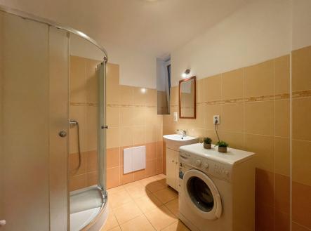 Pronájem bytu, 1+kk, 320 m²