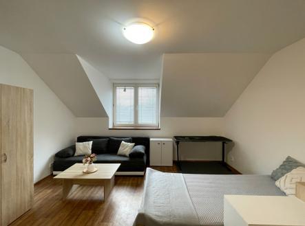 Pronájem bytu, 1+kk, 320 m²