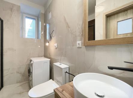 Pronájem bytu, 1+kk, 659 m²