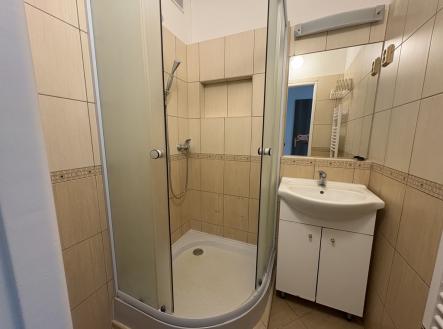 Pronájem bytu, 2+1, 52 m²