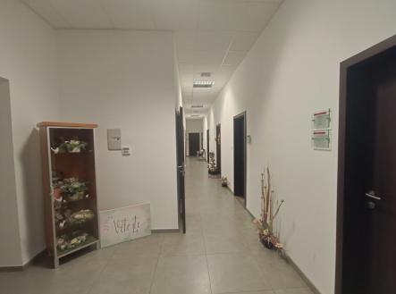 Pronájem kanceláře, 39 m²