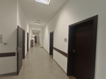 Pronájem kanceláře, 14 m²