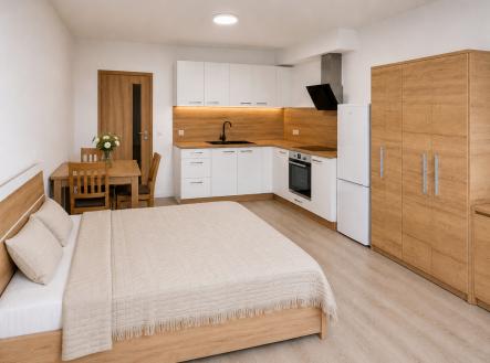 Pronájem bytu, 1+kk, 8 169 m²