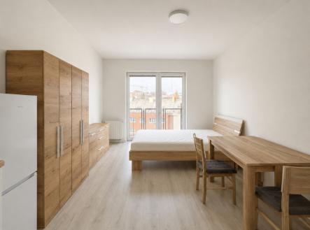 Pronájem bytu, 1+kk, 8 169 m²