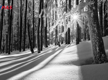 Prodej pozemku pro bydlení, 3 316 m²