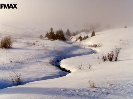 Prodej pozemku pro bydlení, 3 316 m²