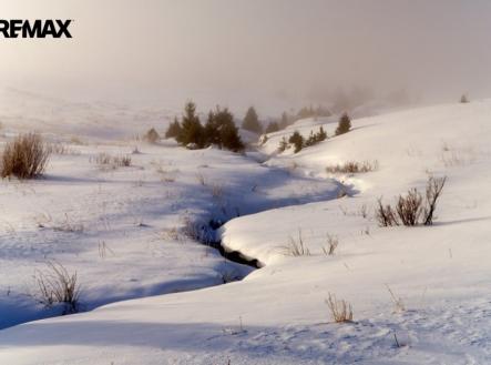 Prodej pozemku pro bydlení, 3 316 m²