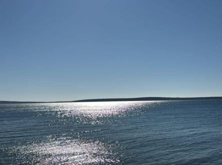 simuny-8.jpg