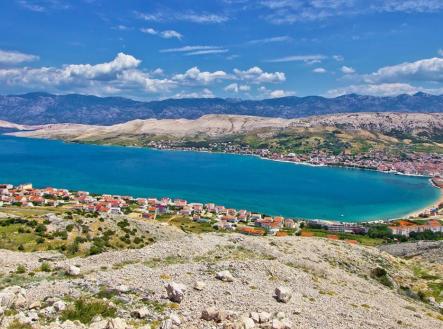 Orchid Casel de Paradise.