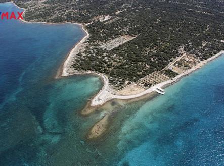 mandre-17.jpg