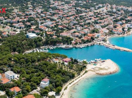 Orchid Casel de Paradise.