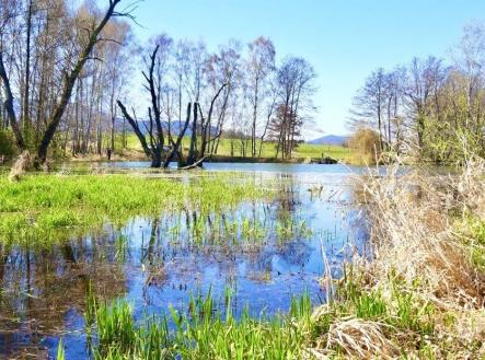 Prodej pozemku, ostatní, 8 558 m²