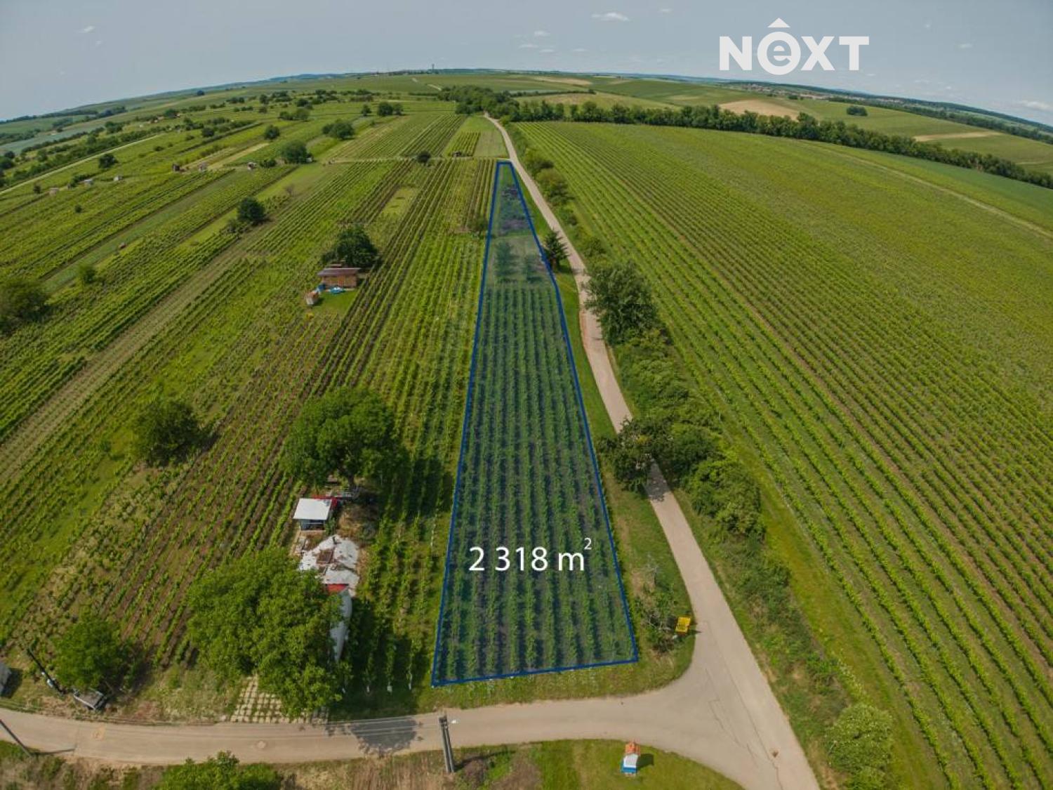 Prodej pozemek Sady/vinice, 2318㎡