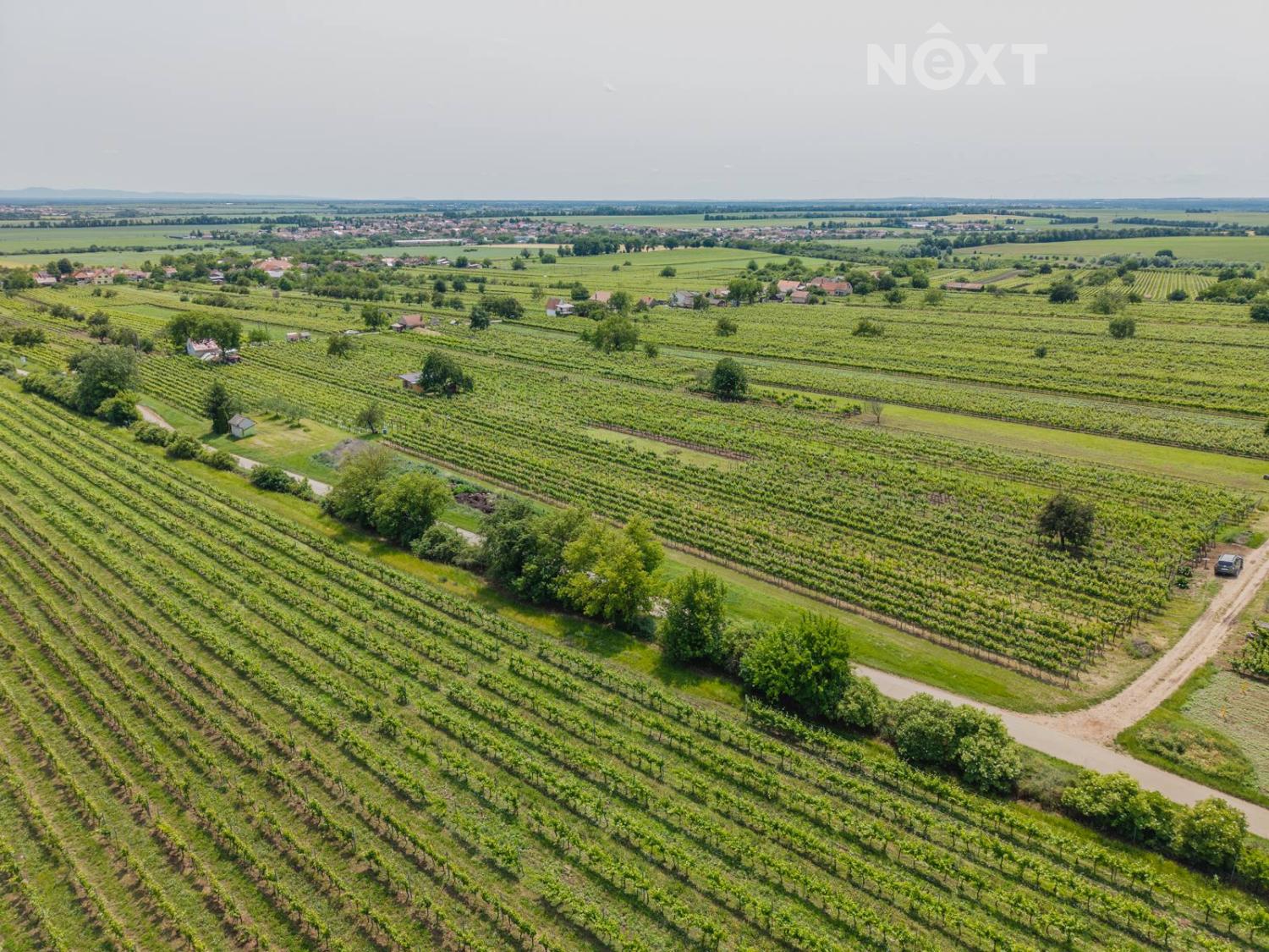 Prodej pozemek Sady/vinice, 2318㎡