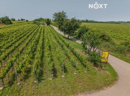 Prodej pozemku, ostatní, 2 318 m²