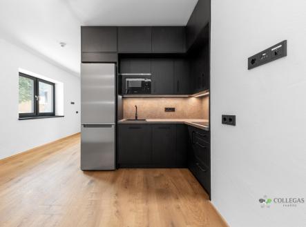 Prodej bytu, 1+kk, 45 m²