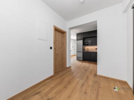 Prodej bytu, 1+kk, 45 m²