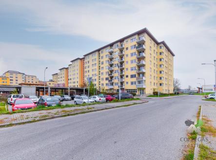 Pronájem bytu, 3+kk, 71 m²