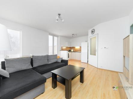 Prodej bytu, 2+kk, 46 m²