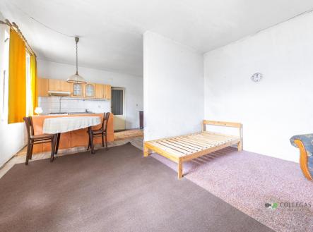 Prodej domu/vily, 90 m²