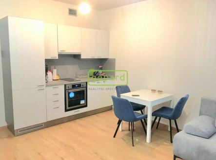 Pronájem bytu, 1+kk, 44 m²