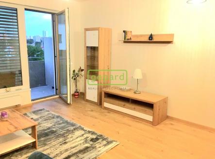 Pronájem bytu, 1+kk, 44 m²
