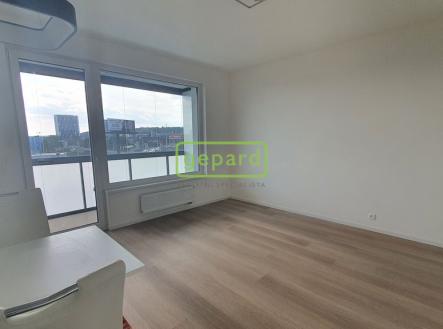 Pronájem bytu, 1+kk, 30 m²