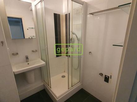 Pronájem bytu, 2+kk, 42 m²