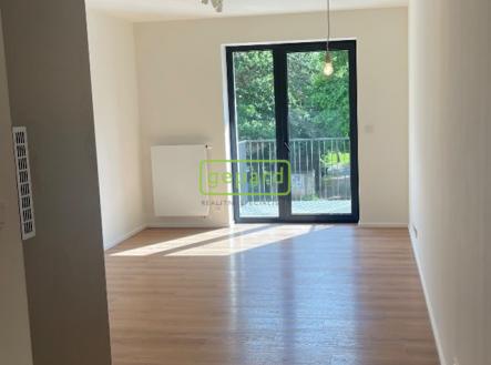 Pronájem bytu, 1+kk, 31 m²