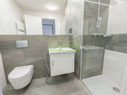 Pronájem bytu, 1+kk, 31 m²