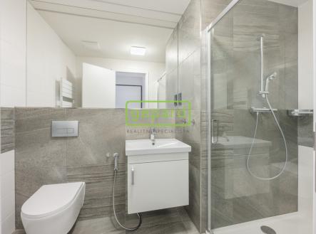 Pronájem bytu, 2+kk, 51 m²