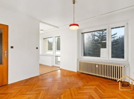 Prodej bytu, 1+kk, 30 m²