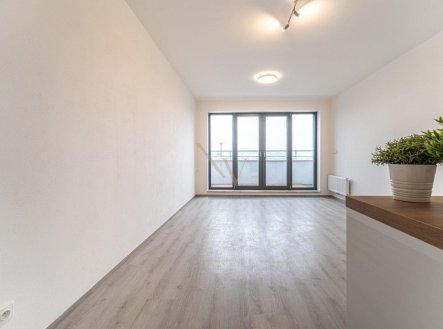 Pronájem bytu, 1+kk, 29 m²