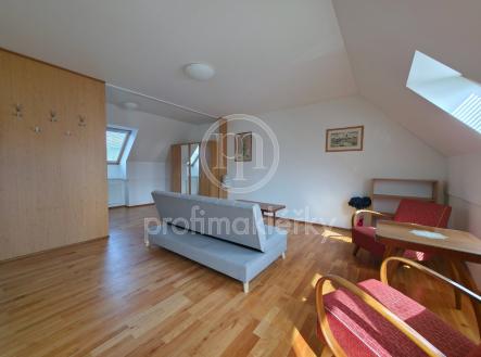 Pronájem bytu, 1+kk, 51 m²