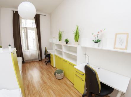 Pronájem bytu, 1+kk, 55 m²