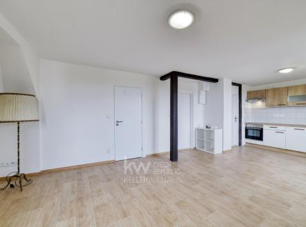 Pronájem bytu, 1+1, 55 m²