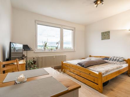 Pronájem bytu, 1+kk, 28 m²