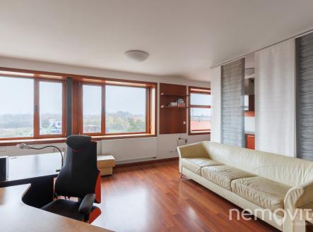 Pronájem bytu, 1+kk, 64 m²