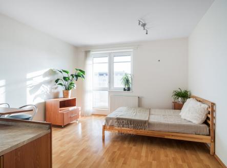 Prodej bytu, 1+kk, 35 m²