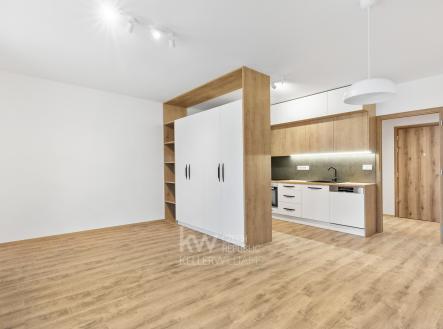 Pronájem bytu, 1+kk, 39 m²