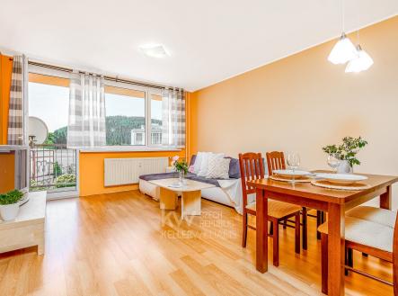 Prodej bytu, 3+1, 77 m²