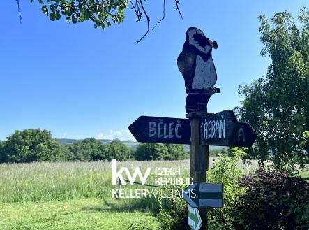 Prodej pozemku, ostatní, 9 074 m²