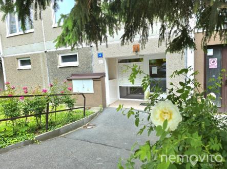 Obrázek WhatsApp, 2025-06-16 v 19.33.52_29d5fdd1