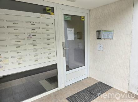 Obrázek WhatsApp, 2025-06-16 v 19.33.40_869399a5