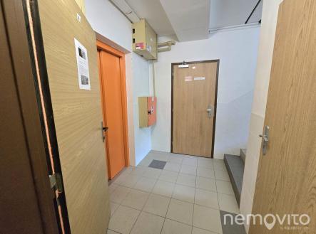 Obrázek WhatsApp, 2025-06-16 v 19.33.35_cfb462ac