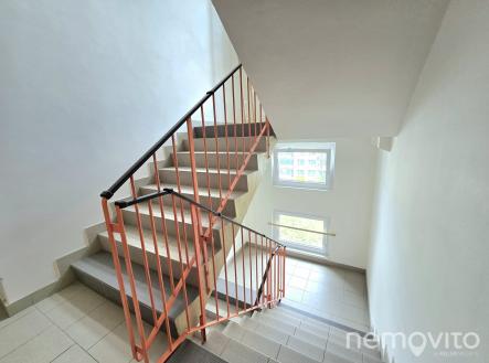 Obrázek WhatsApp, 2025-06-16 v 19.33.54_1463ee2e