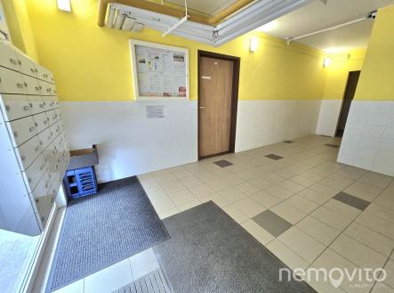 Obrázek WhatsApp, 2025-06-16 v 19.33.54_b3579ed2