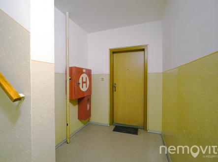 Bohnice (17)